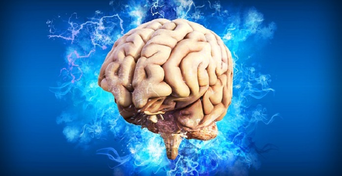 Interesting Facts About Brain