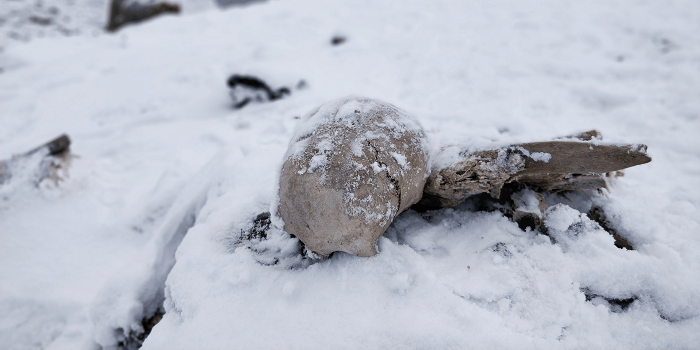 Lake Of Skeletons